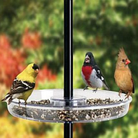 Pole Accessories Miscellaneous